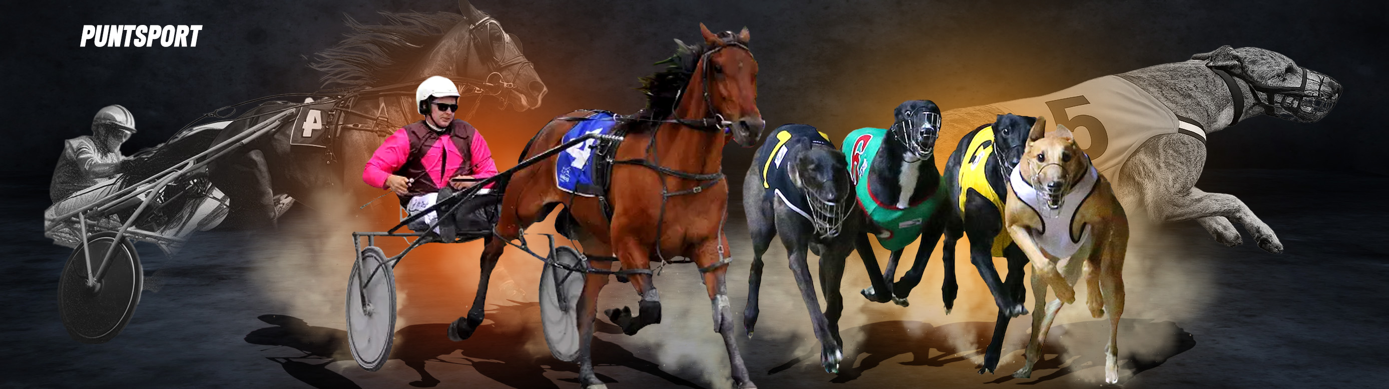 RACING- Winners Welcome